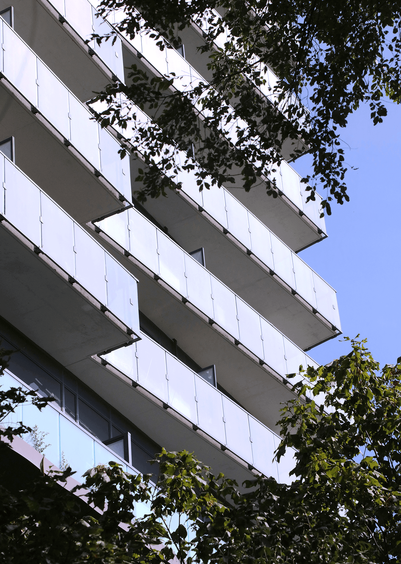 Merton Yonge Condominiums