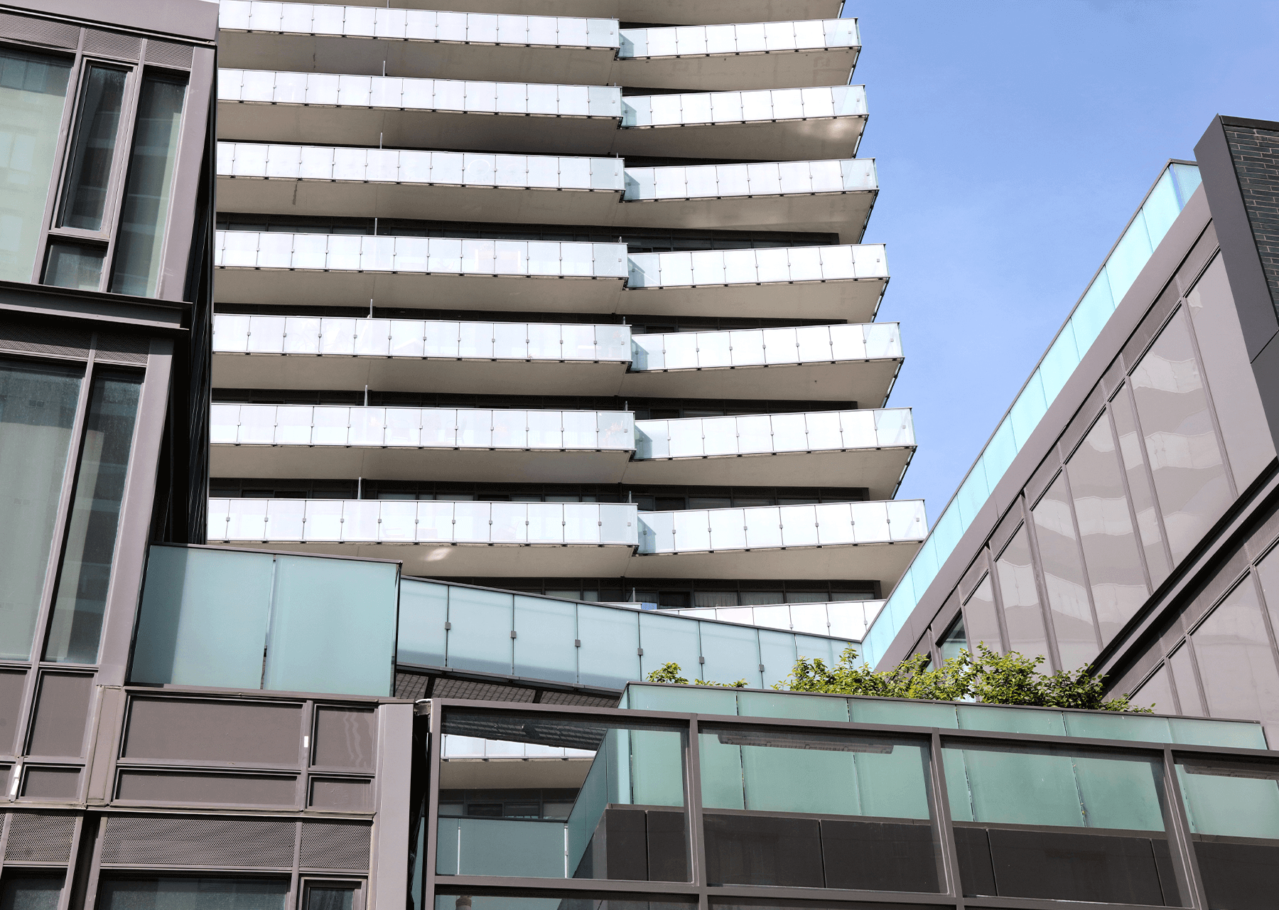 Merton Yonge Condominiums